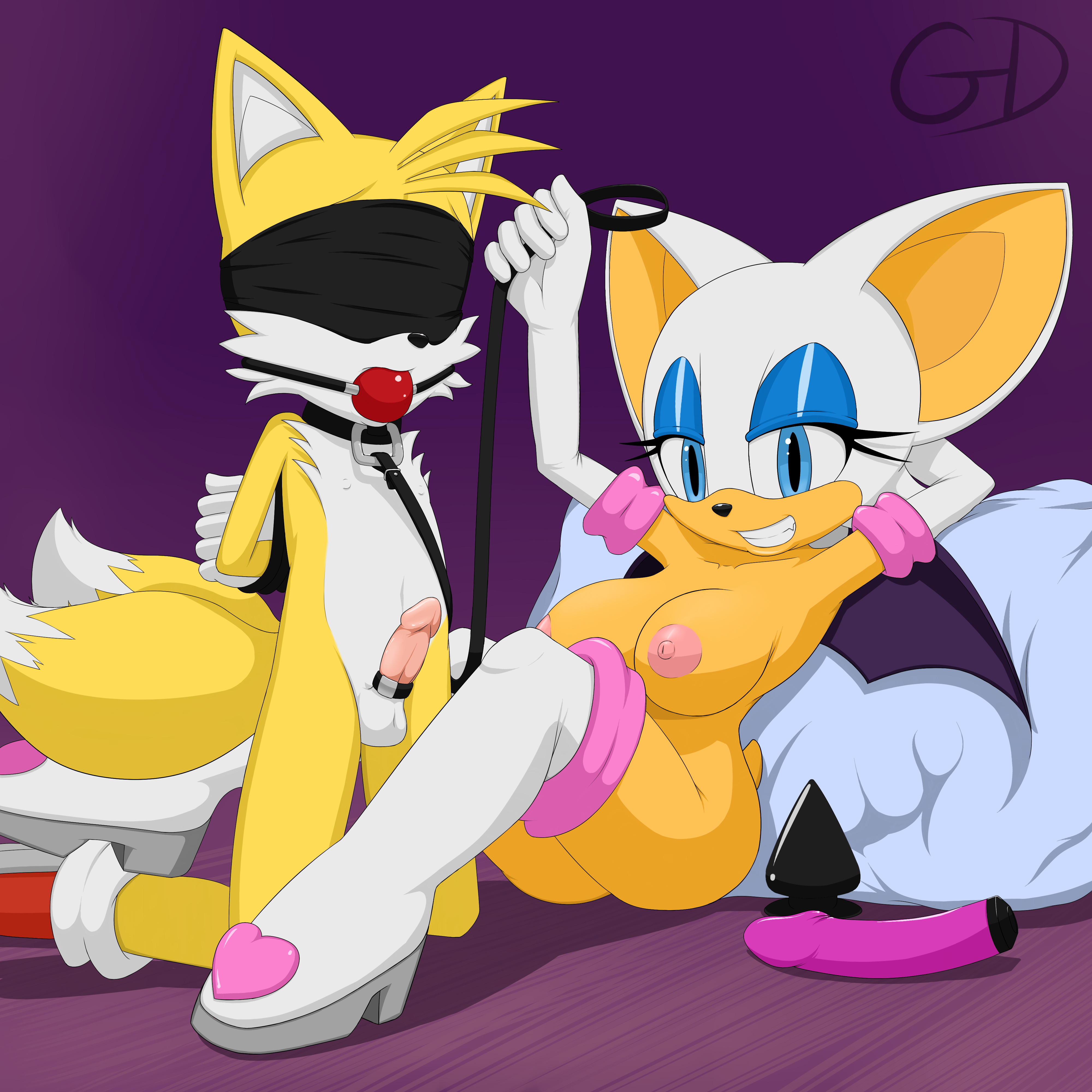Rule34 – If it exists, there is porn of it / gevind, rouge the bat, tails / 471446