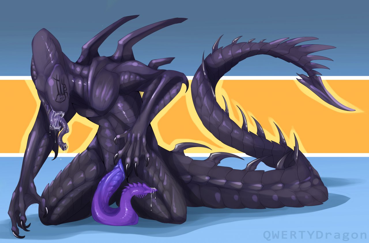 Rule34 – If it exists, there is porn of it / qwertydragon, xenomorph / 471461