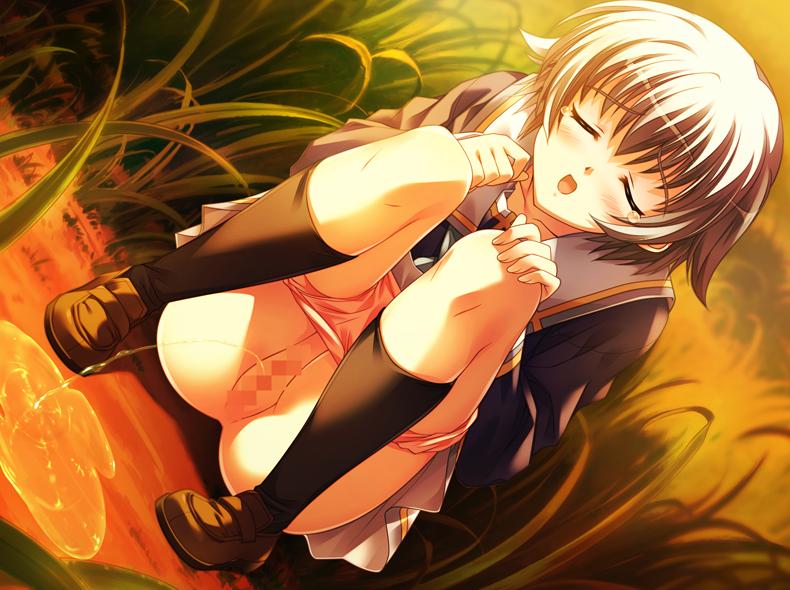 tsukasa yuuki, minakura tomo, amber quartz, game cg, 1girl, ass, black shirt, black socks, blush, brown shoes, censored, closed eyes, collarbone, female focus, full body, grass, grey hair, hand on own knee, long sleeves, mosaic censoring, nature, open mouth, orange sky, outdoors, panties, panty pull, peeing, pink panties, plant, puddle, pussy, relief, school uniform, shirt, shoes, short hair, skirt, sky, socks, solo, squatting, sunset, tears, underwear, white skirt