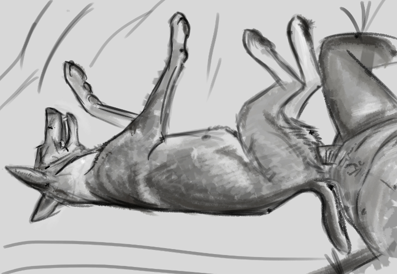 Rule34 – If it exists, there is porn of it / / 473476