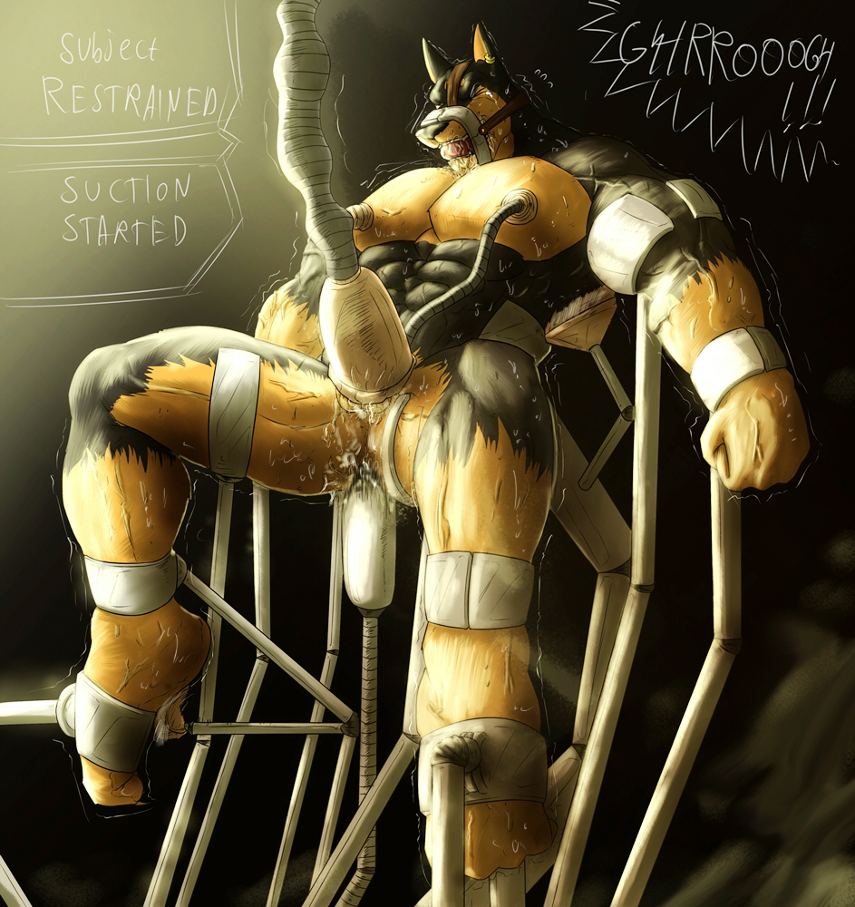 Rule34 – If it exists, there is porn of it / foster-tony, dobby / 474012