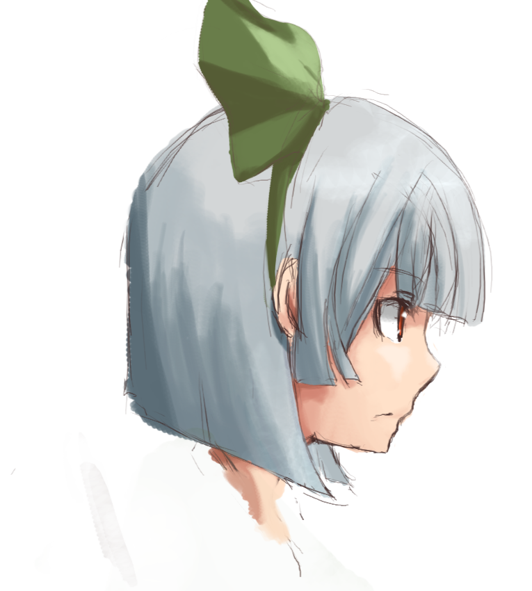 kamui0226, konpaku youmu, touhou, bad id, bad pixiv id, 1girl, bow, close-up, female focus, grey hair, hair bow, profile, red eyes, sketch, solo, white background