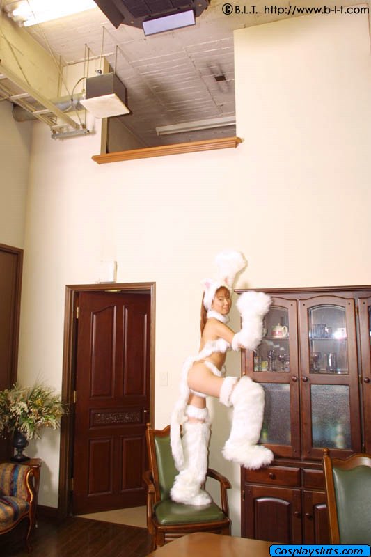 felicia (darkstalkers), blt, capcom, darkstalkers, photo (medium), animal ears, asian, ass, cabinet, cat ears, cat tail, chair, climbing, cosplay, felicia (darkstalkers) (cosplay), red hair, tail