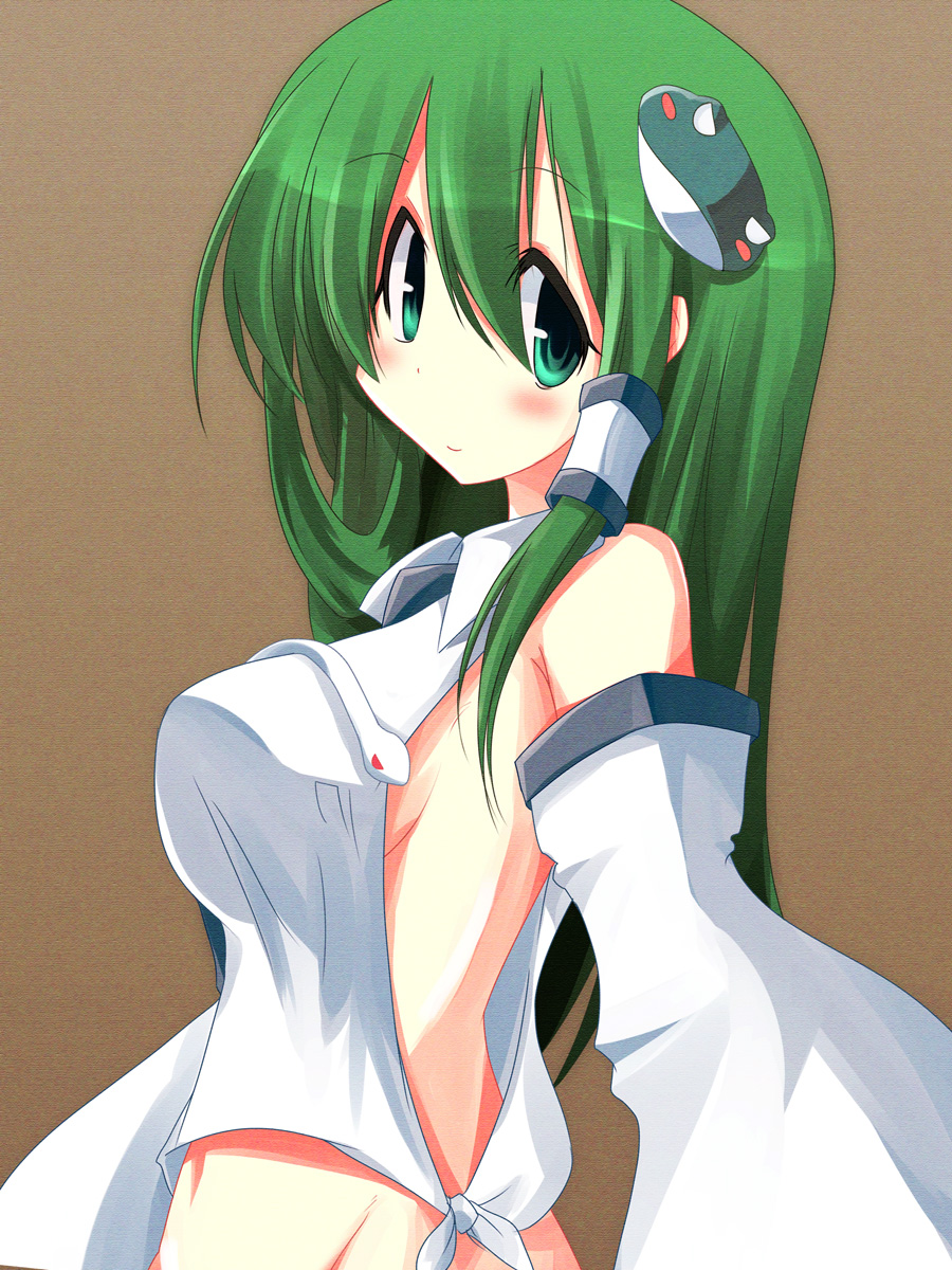 miichi (mimimi), mimimi, kochiya sanae, touhou, highres, 1girl, bare shoulders, blush, breasts, detached sleeves, female focus, frog, green eyes, green hair, hair ornament, large breasts, long hair, matching hair/eyes, midriff, navel, sideboob, simple background, snake, solo