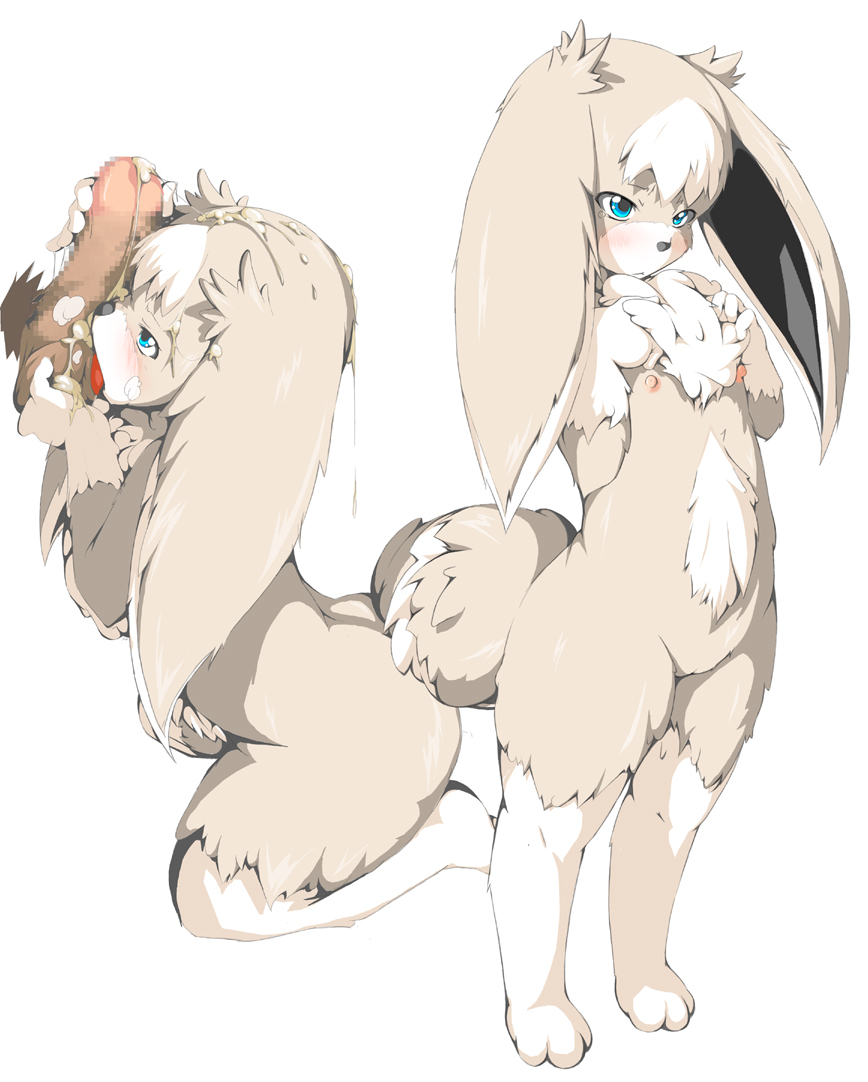 shi yusu, animal ears, animal hands, barefoot, blue eyes, blush, censored, cum, cum on body, facial, feet, fellatio, flat chest, furry, kneeling, licking, loli, nipples, nude, oral, penis, pussy, rabbit ears, rabbit tail, simple background, tail, testicles, toes, tongue, white background