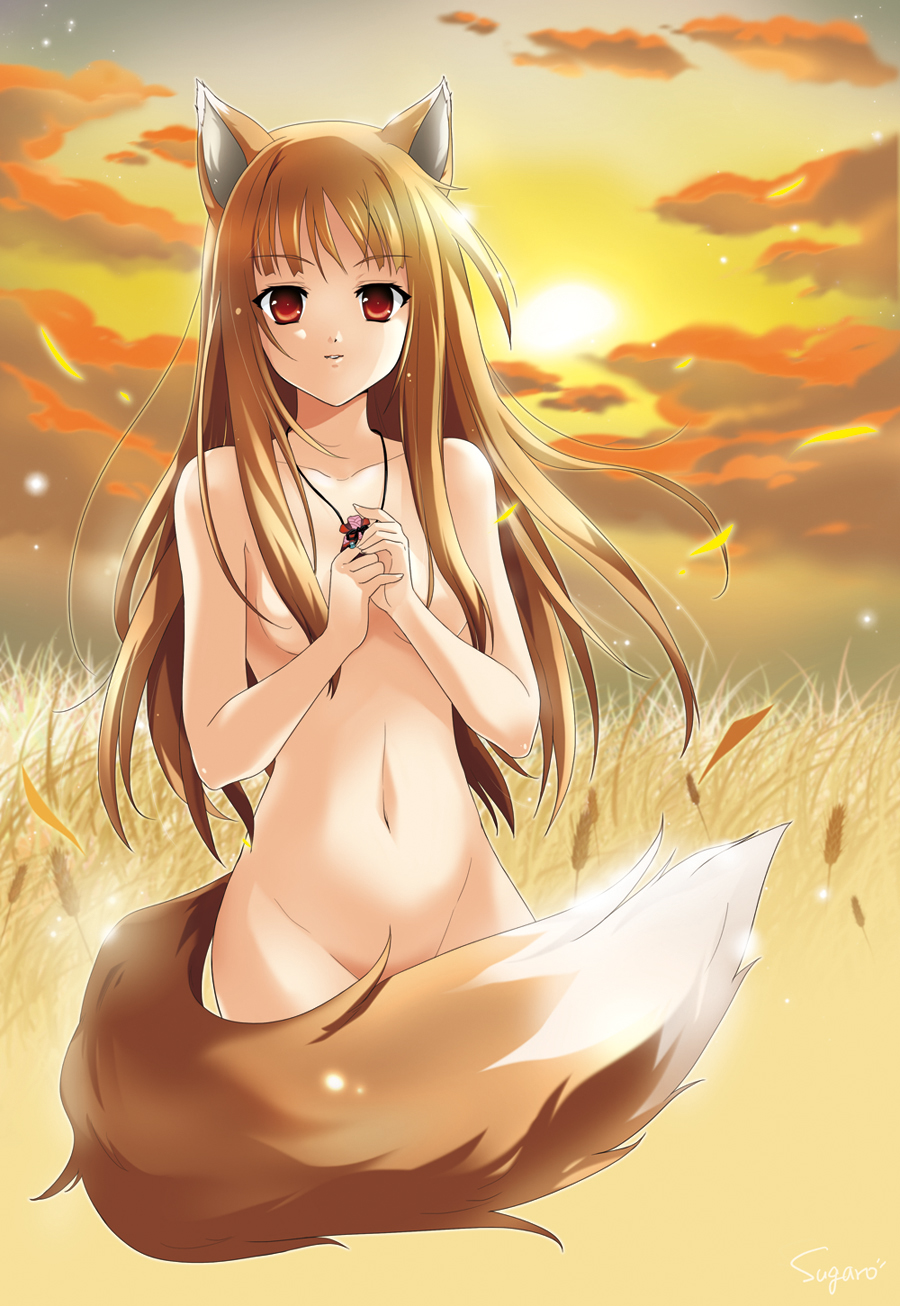 sugaro, holo, spice and wolf, highres, 00s, 1girl, animal ears, breasts, brown hair, female focus, field, long hair, navel, nude, red eyes, solo, tail, wheat, wolf ears, wolf tail