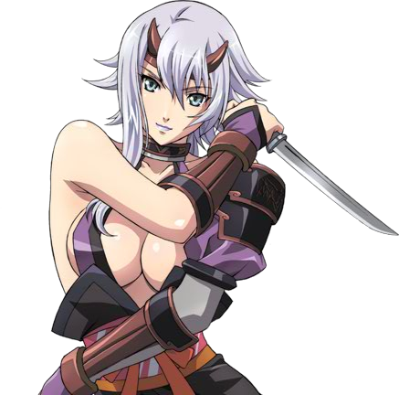 shizuka (queen's blade), queen's blade, lowres, 00s, belt, breasts, knife, ninja, white hair