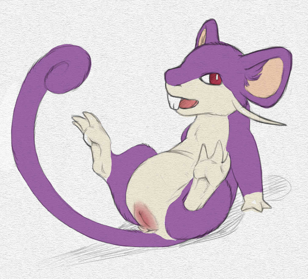 Rule34 – If it exists, there is porn of it / yaroul, rattata / 477382