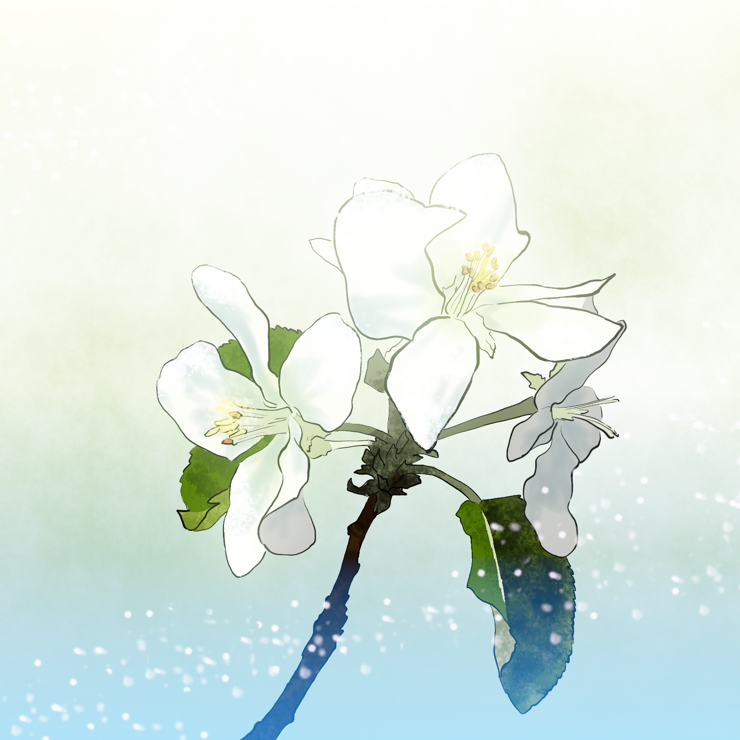 belusyuta, original, white lily, commentary request, highres, flower, flower focus, gradient background, no humans, plant, white flower