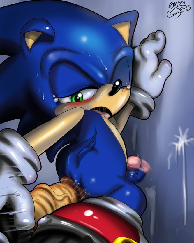 Rule34 – If it exists, there is porn of it / sammy stowes, sonic the hedgehog / 479230