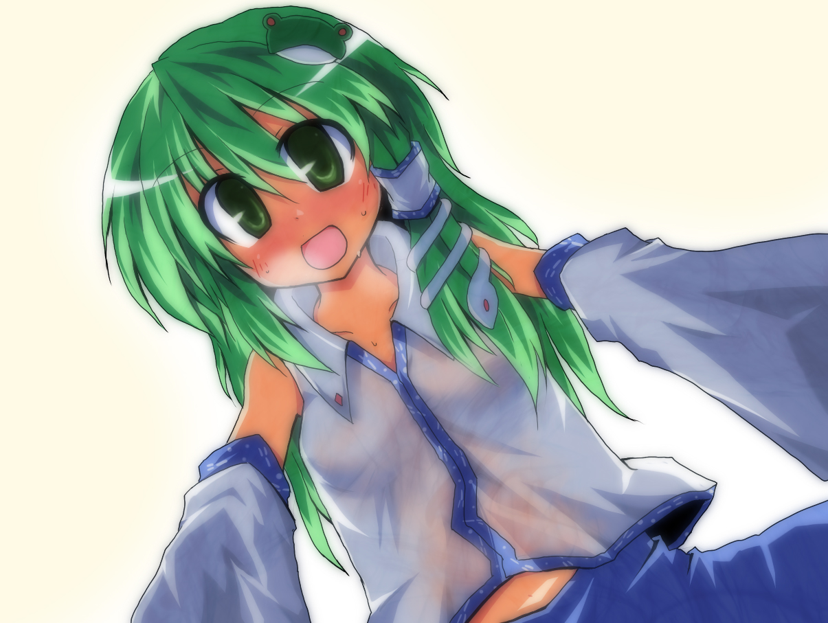 aruha, yuuhi alpha, kochiya sanae, touhou, 1girl, blush, detached sleeves, female focus, frog, green eyes, green hair, hair ornament, japanese clothes, matching hair/eyes, miko, see-through clothes, snake, solo
