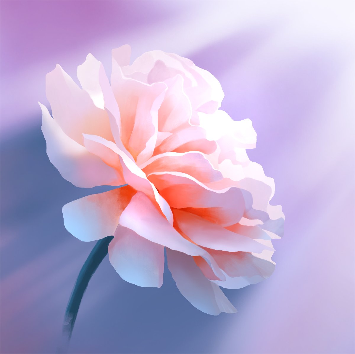 yu02257951, original, commentary, english commentary, flower, flower focus, no humans, object focus, pink flower, plant, plant focus, purple background, shadow, still life, sunlight