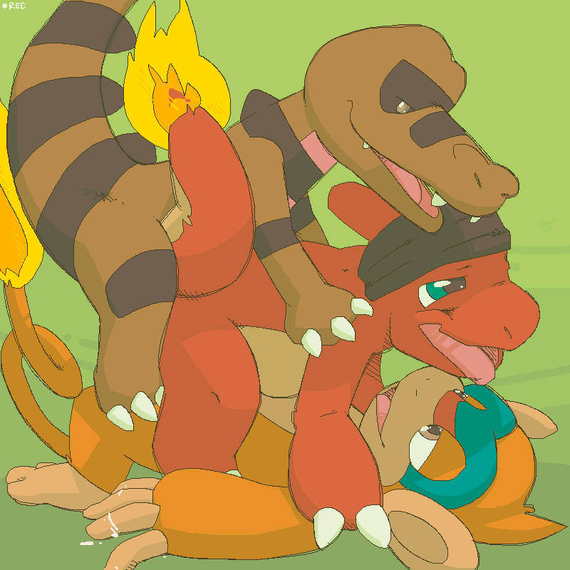 Rule34 – If it exists, there is porn of it / argon vile, charmeleon, krokorok, monferno / 481372
