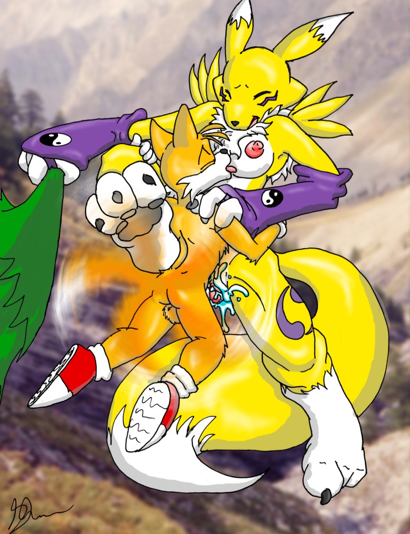 Rule34 – If it exists, there is porn of it / glenn, renamon, tails / 482361