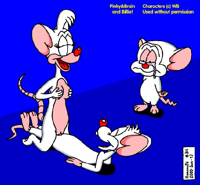Rule34 – If it exists, there is porn of it / billie, pinky, the brain / 483008