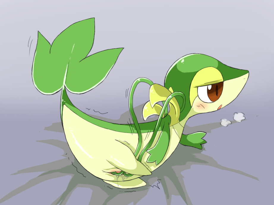 Rule34 – If it exists, there is porn of it / hyakkankan, snivy / 483607