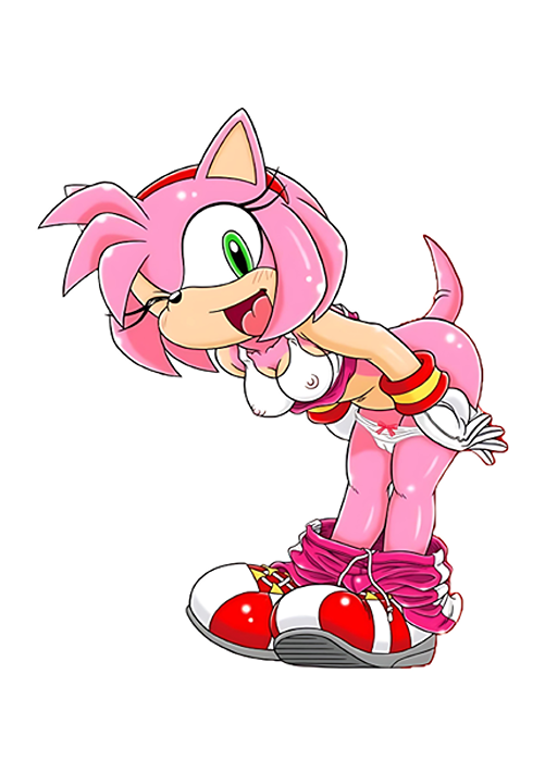 Rule34 – If it exists, there is porn of it / furry bomb factory, mitsuharu takura, amy rose / 9479869