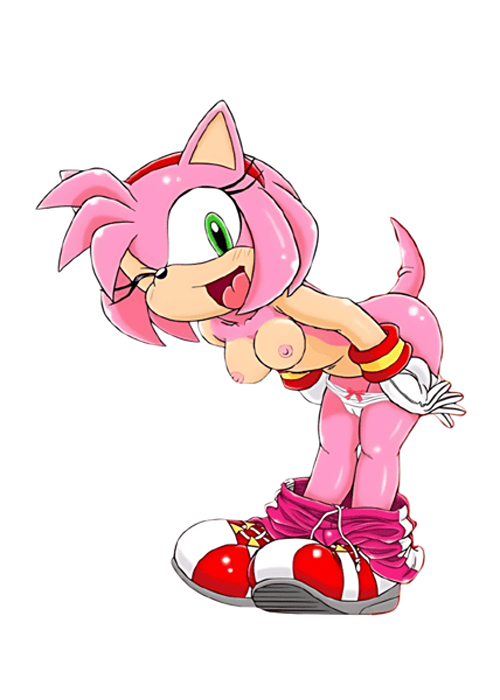 Rule34 – If it exists, there is porn of it / furry bomb factory, amy rose / 9479863