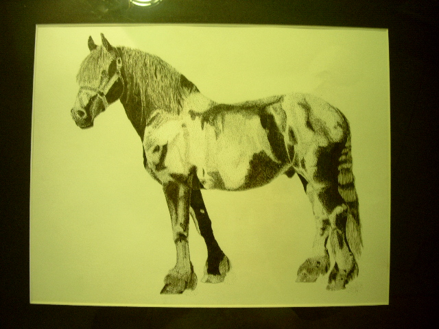 Rule34 – If it exists, there is porn of it / / 485629