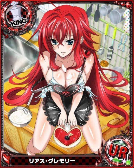 Rule34 – If it exists, there is porn of it / animius, rias gremory / 485706