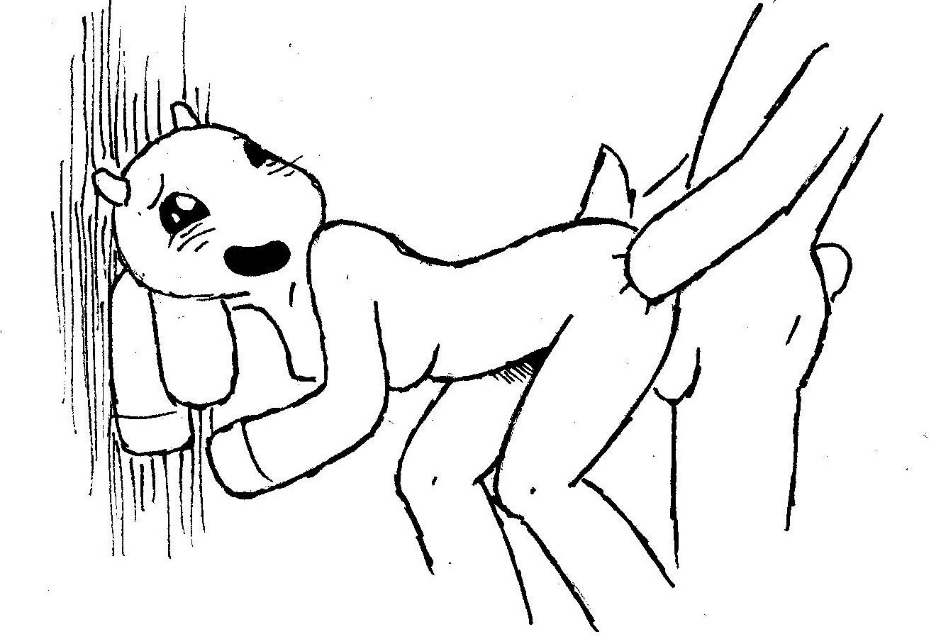 Rule34 – If it exists, there is porn of it / bunny maloney, charlotte / 486034