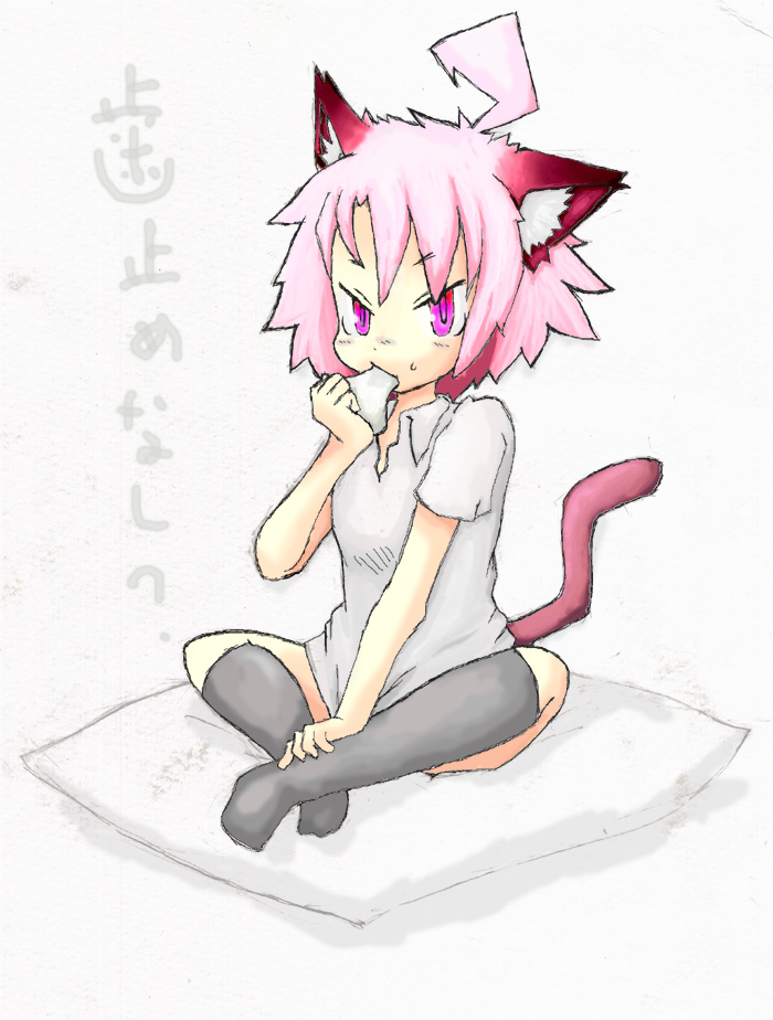 translation request, 1girl, animal ears, cat ears, cat girl, cat tail, female focus, full body, pillow, pink eyes, pink hair, shirt, short hair, sitting, socks, solo, tail