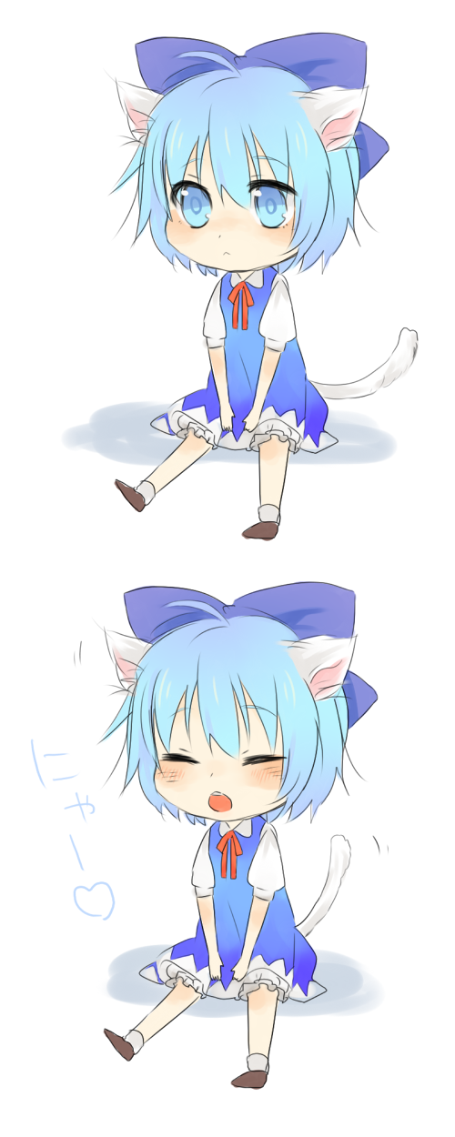 kurasaki moroko, cirno, embodiment of scarlet devil, touhou, bad id, bad pixiv id, highres, animal ears, blue eyes, blue hair, bow, cat ears, cat tail, hair bow, tail