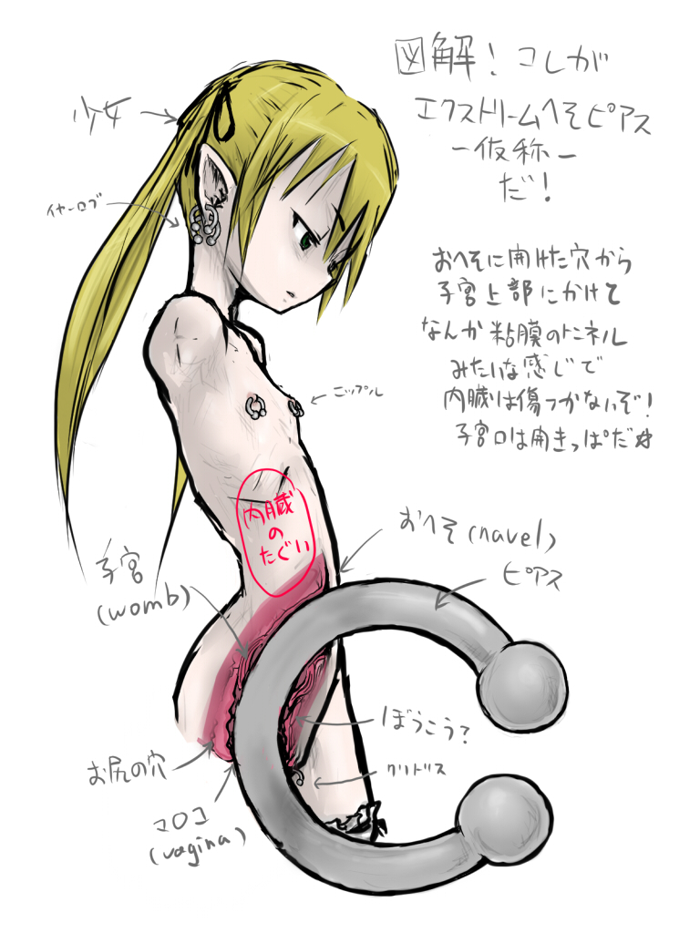 10646, translation request, 1girl, amputee, bad anatomy, blonde hair, cross-section, female focus, flat chest, long hair, navel, navel piercing, nipple piercing, nipples, nude, piercing, pointy ears, quadruple amputee, simple background, solo, twintails, uncensored, uterus, what, white background, x-ray