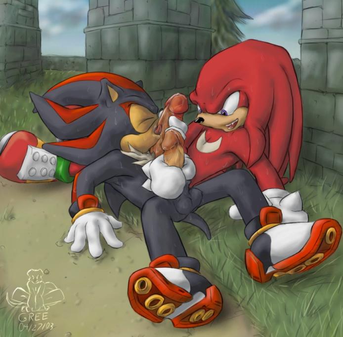 Rule34 – If it exists, there is porn of it / gree, knuckles the echidna, shadow the hedgehog / 486811