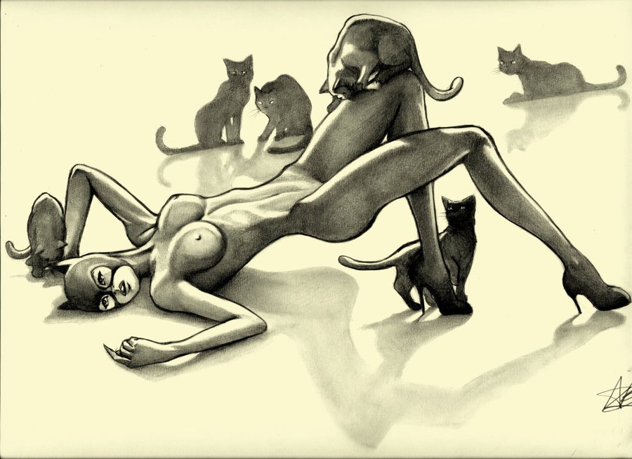 Rule34 – If it exists, there is porn of it / catwoman, selina kyle / 488103