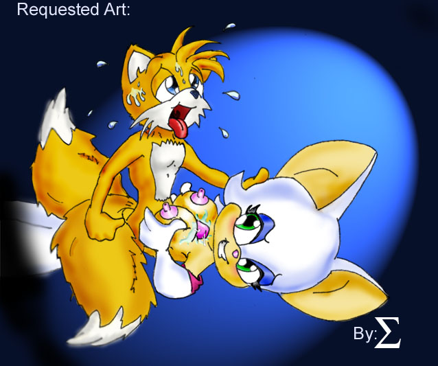 Rule34 – If it exists, there is porn of it / rouge the bat, tails / 488160