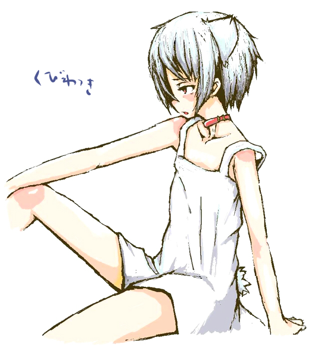 armored core, fromsoftware, 1girl, animal ears, collar, dress, female focus, solo, white background, white hair