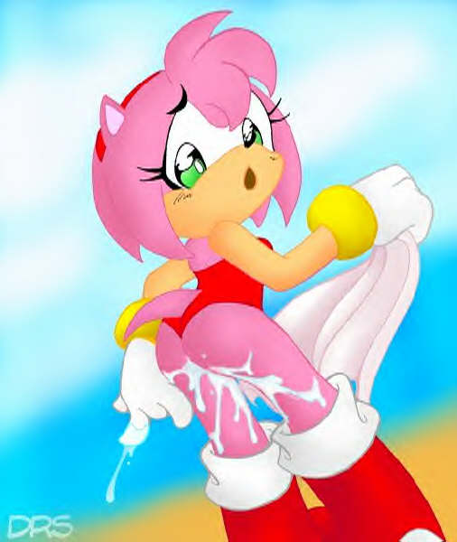 Rule34 – If it exists, there is porn of it / drs, amy rose / 488292