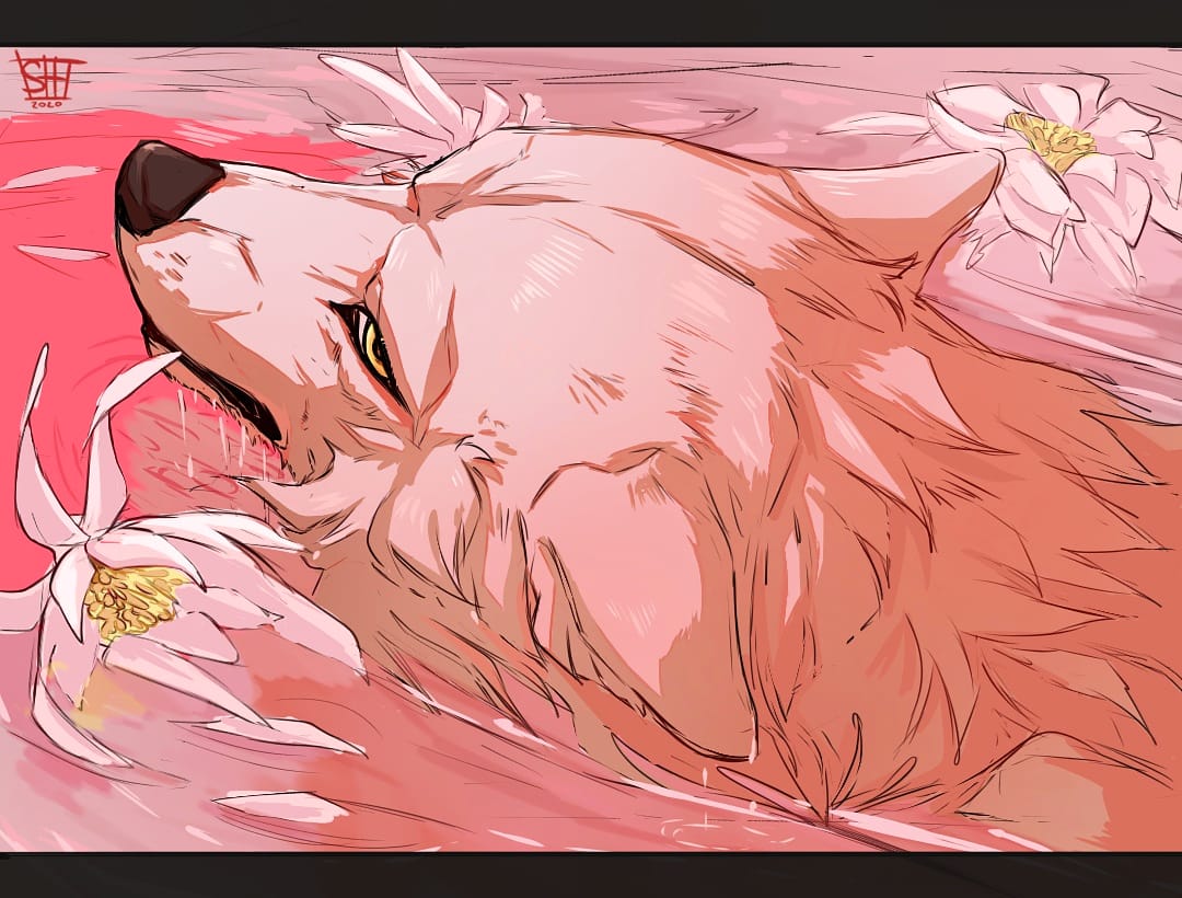 sherat, kiba, wolf's rain, hashtag-only commentary, animal, animal focus, closed mouth, flower, letterboxed, petals, petals on liquid, ripples, solo, swimming, wet, white flower, white wolf, wolf, yellow eyes