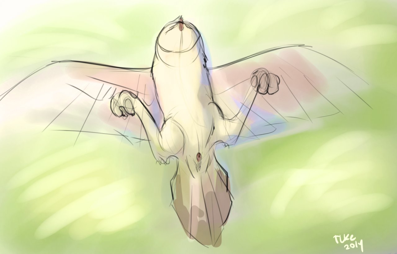 Rule34 – If it exists, there is porn of it / tuke / 489765