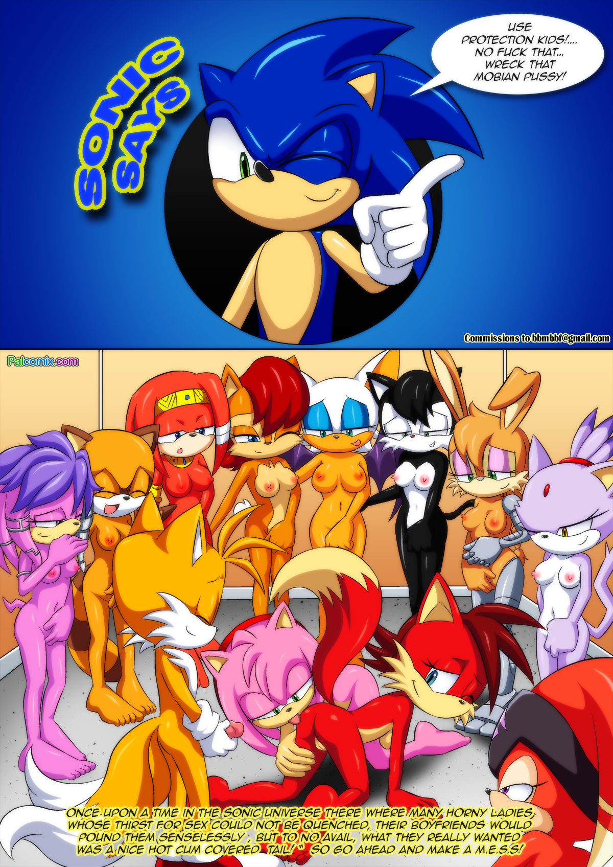 Rule34 – If it exists, there is porn of it / amy rose, blaze the cat, bunnie rabbot, fiona fox, hershey the cat, sally acorn, shade the echidna, tikal the echidna / 490149