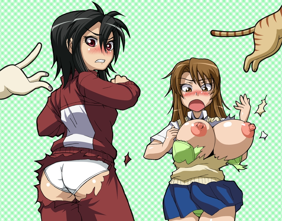 tsucky, ichinose nagi, sumiyoshi kanako, nyan koi!, alternate breast size, 00s, 2girls, animal, ass, black hair, blush, bra, breasts, brown eyes, brown hair, cat, large breasts, mole, mole under eye, multiple girls, nipples, panties, pants, red eyes, torn bra, torn clothes, torn pants, track suit, underwear, wardrobe malfunction, white panties