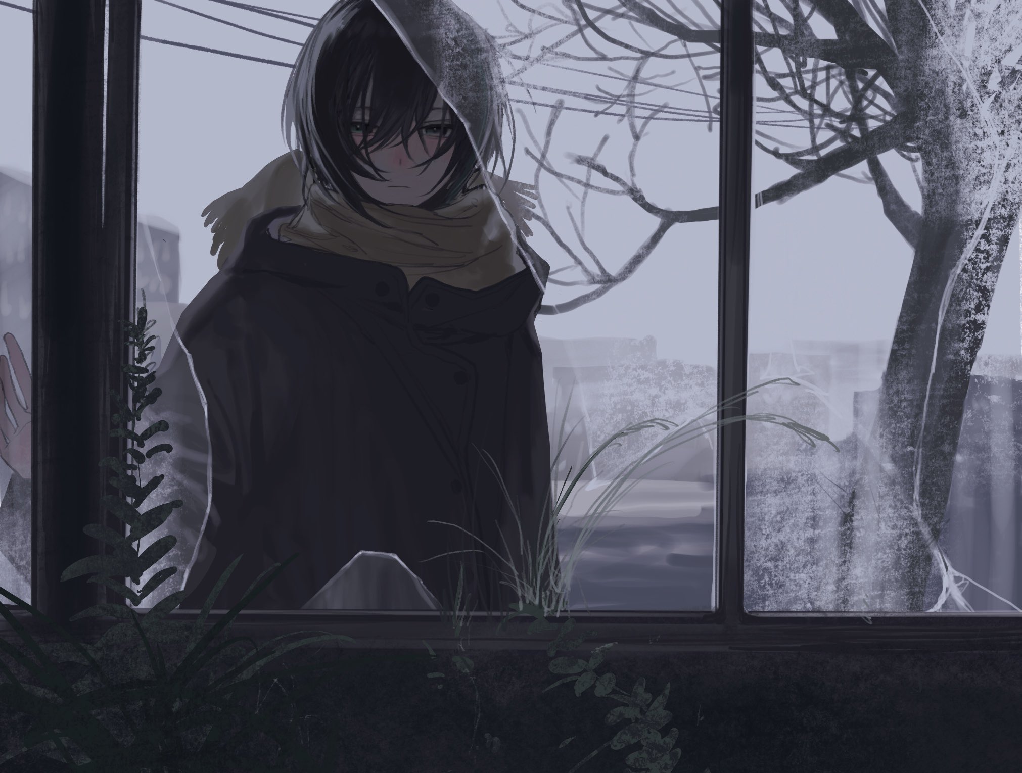 indigo (indigo aoi), mayuzumi kai, nijisanji, highres, protected link, 1boy, abandoned, against glass, alternate costume, alternate hairstyle, aqua eyes, aqua streaks, bare tree, black coat, black hair, broken glass, closed mouth, coat, expressionless, foliage, from outside, glass, grass, grey sky, hair between eyes, hair over one eye, hand on glass, light blush, light frown, looking to the side, male focus, muted color, outdoors, overgrown, scarf, short hair, sky, solo, through window, tree, upper body, virtual youtuber, window, winter, winter clothes, yellow scarf