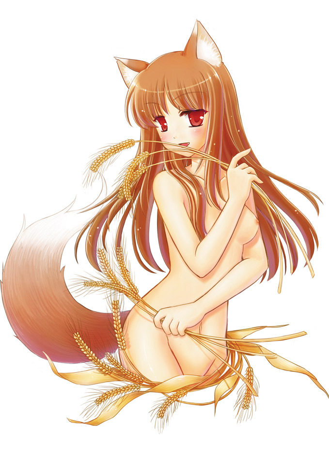 naoyuki pupu, holo, spice and wolf, 00s, 1girl, animal ears, blush, breasts, brown hair, female focus, long hair, navel, nipples, nude, red eyes, solo, tail, wheat, wolf ears, wolf tail