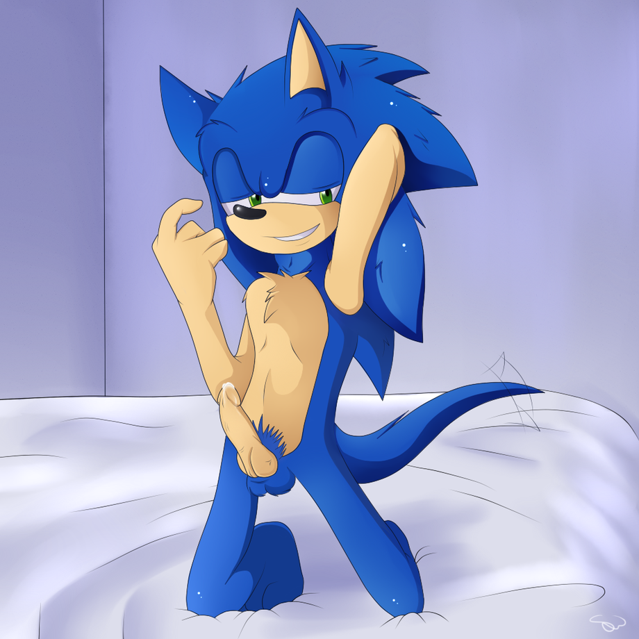 Rule34 – If it exists, there is porn of it / sonic the hedgehog / 491343
