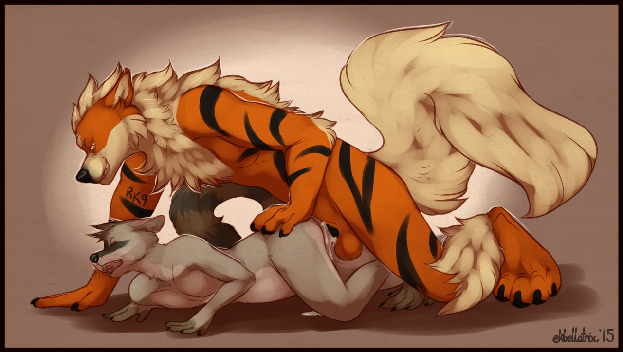 Rule34 – If it exists, there is porn of it / ekbellatrix, arcanine / 492969