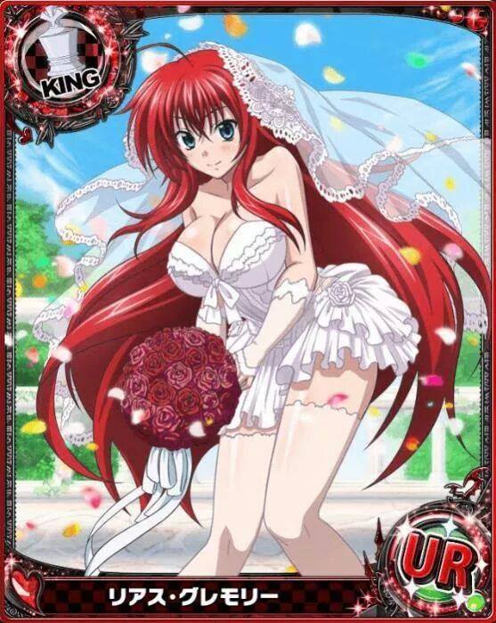 Rule34 – If it exists, there is porn of it / animius, rias gremory / 493060