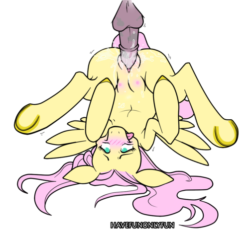 Rule34 – If it exists, there is porn of it / havefunonlyfun, fluttershy (mlp) / 493110
