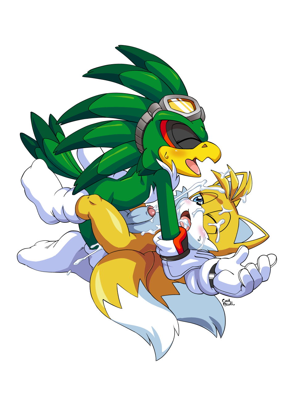 Rule34 – If it exists, there is porn of it / coolblue, jet the hawk, tails / 493722