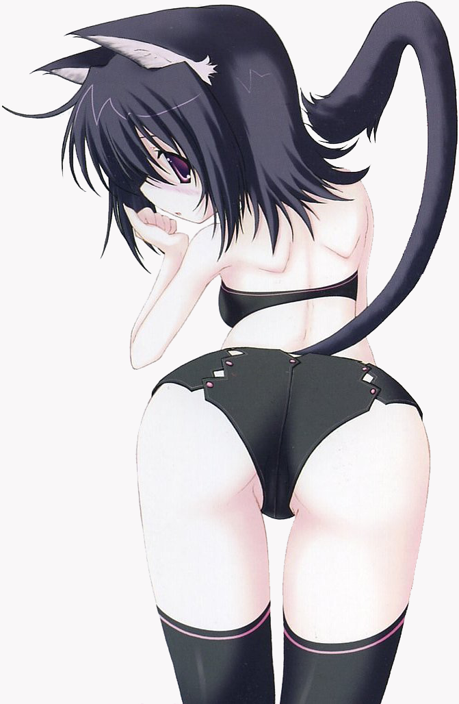 nanao naru, black x pink, animal ears, ass, ass focus, black thighhighs, blue hair, blush, cat ears, cat tail, looking back, purple eyes, short hair, solo, tail, thighhighs