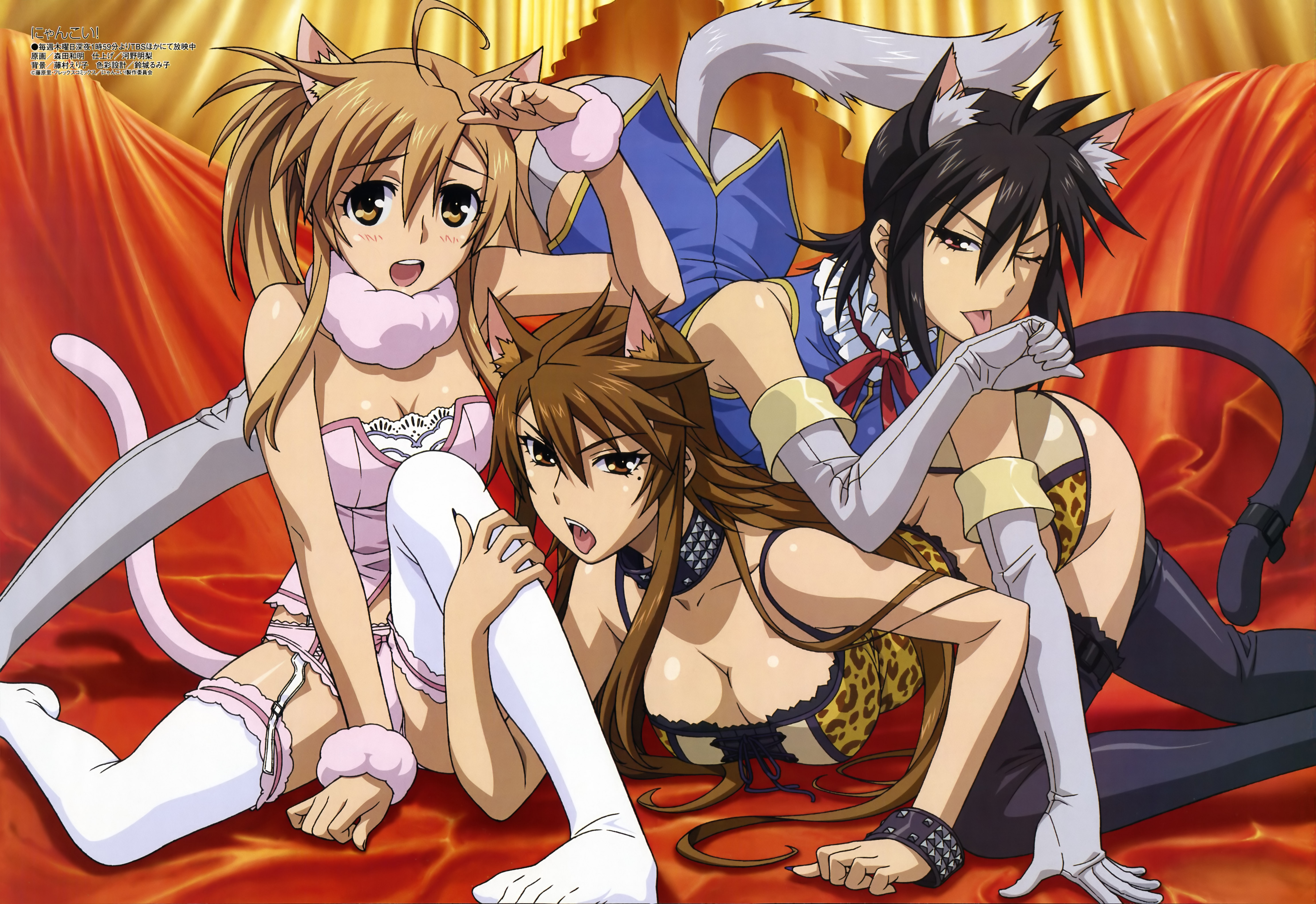 morita kazuaki, ichinose nagi, mizuno kaede, sumiyoshi kanako, megami magazine, nyan koi!, absurdres, highres, non-web source, official art, scan, 00s, 3girls, ahoge, all fours, animal ears, animal print, arched back, arm up, black hair, black thighhighs, blush, bracelet, breasts, brown eyes, brown hair, bustier, cat ears, cat tail, cleavage, collar, elbow gloves, feet, fingernails, garter straps, gloves, grey panties, grey thighhighs, jewelry, lace, lace-trimmed panties, lace trim, large breasts, leg grab, legs, leopard print, licking, lingerie, long fingernails, long hair, mole, multiple girls, nail (hardware), nail polish, no pants, no shoes, one eye closed, open mouth, panties, paw pose, pink panties, red eyes, round teeth, short hair, sitting, spread legs, tail, teeth, thighhighs, toes, tongue, underwear, very long hair, white thighhighs, wink