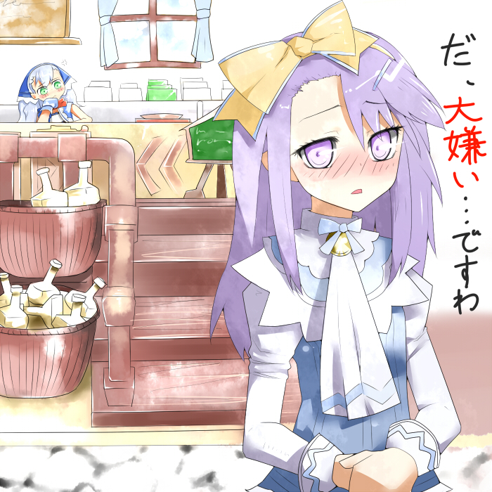 mizuke, karin (rune factory), sofia jalapeno viviage, sophia (rune factory), rune factory, rune factory 3, silver hair, 2girls, blush, bottle, bow, gloves, green eyes, hair bow, hair ornament, hairclip, long hair, multiple girls, purple eyes, purple hair, window