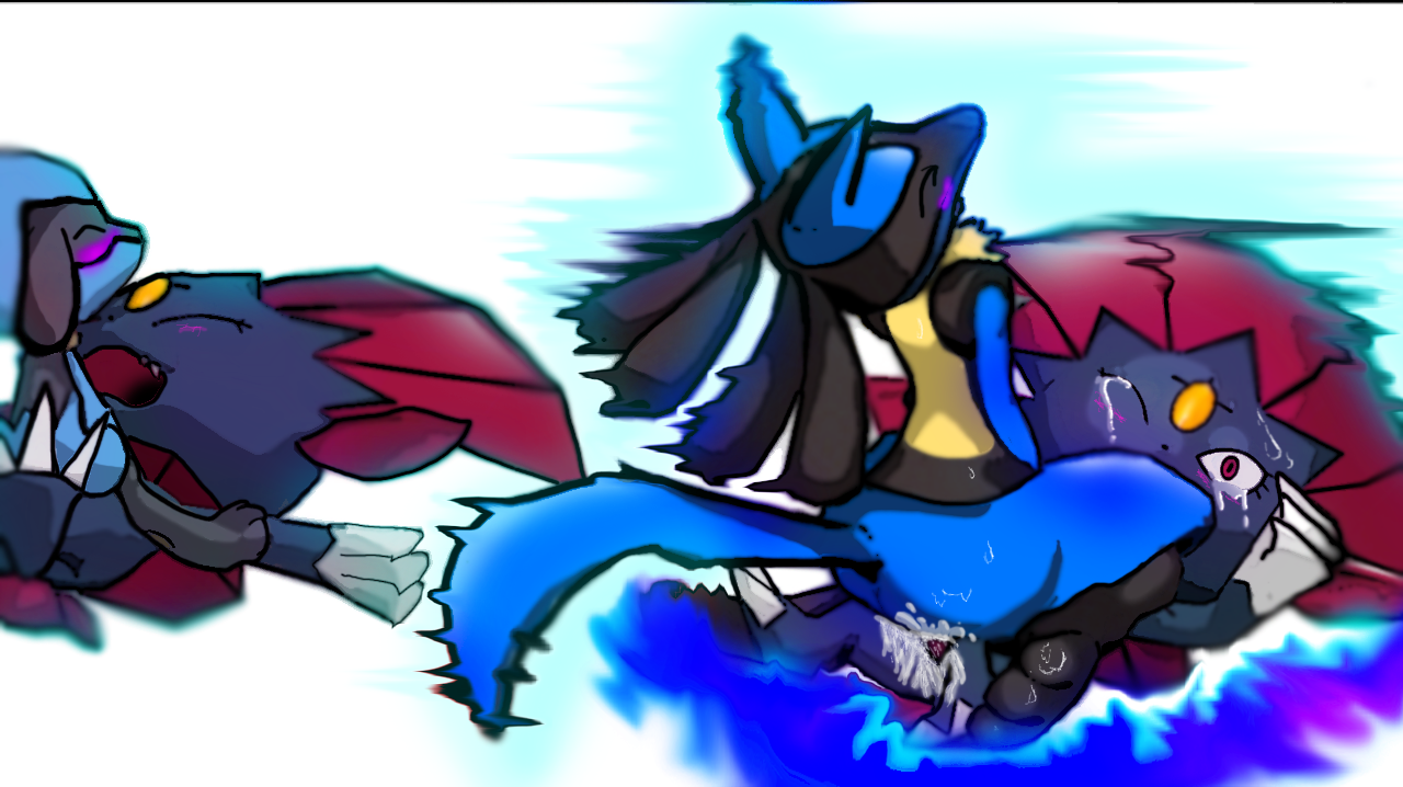 Rule34 – If it exists, there is porn of it / lucario, riolu, weavile / 494462