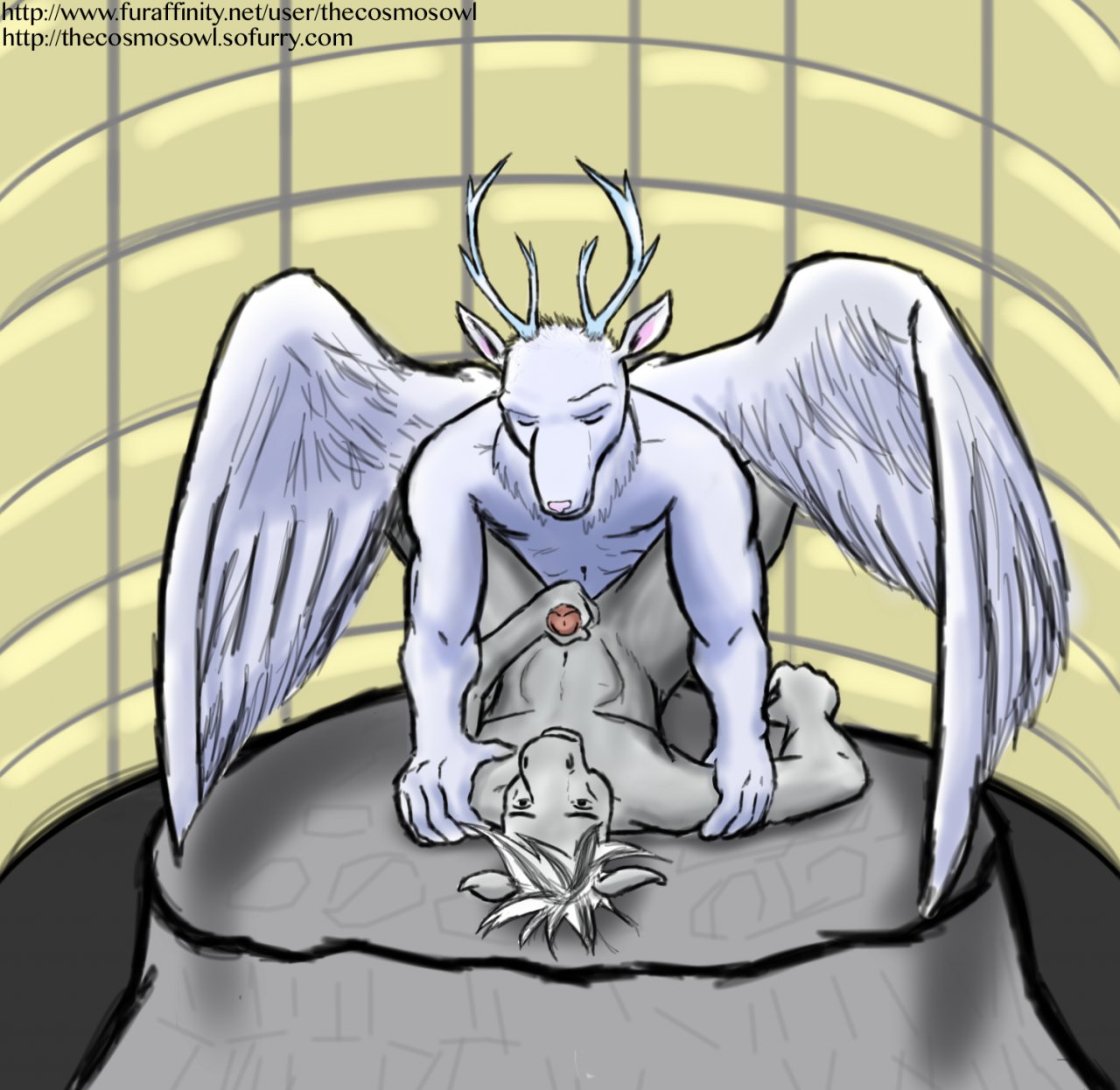 Rule34 – If it exists, there is porn of it / thecosmosowl, staghart / 494623