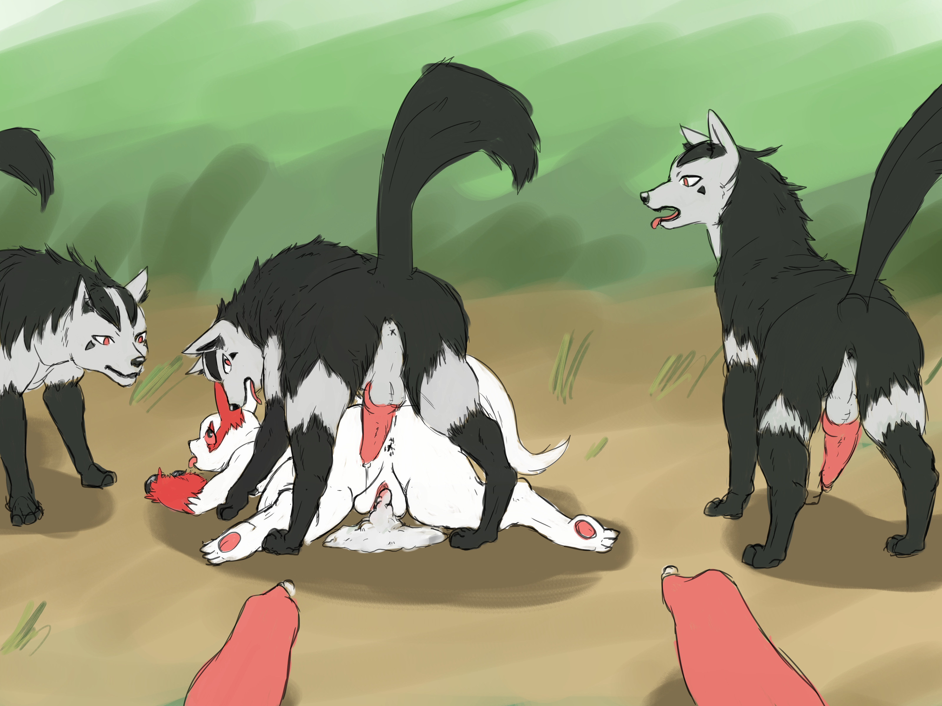 Rule34 – If it exists, there is porn of it / mightyena, zangoose / 496003
